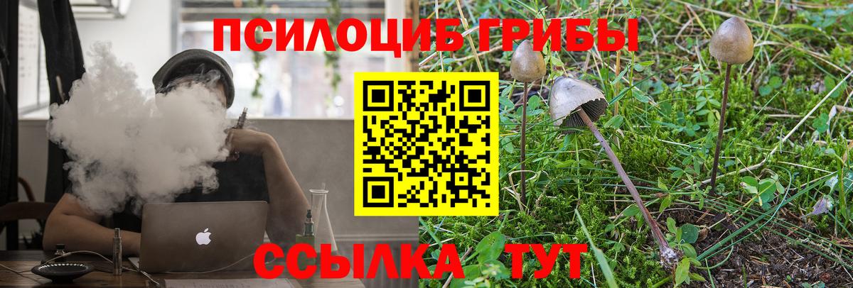 Псилоцибиновые грибы мицелий  Псилоцибиновые грибы Magic Shrooms  Вход с VPN  Топки 